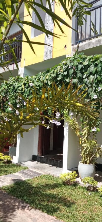 Mandara Rest Bed & Breakfast Hikkaduwa Luaran gambar