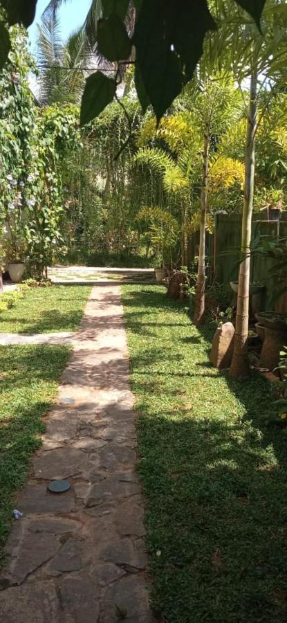 Mandara Rest Bed & Breakfast Hikkaduwa Luaran gambar