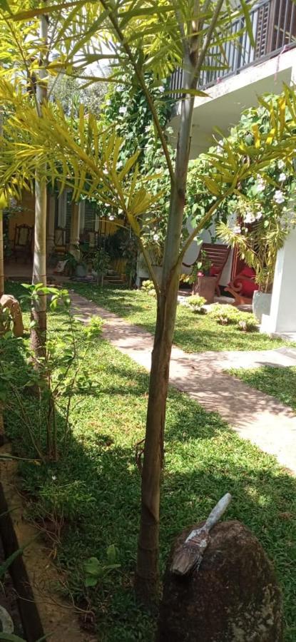 Mandara Rest Bed & Breakfast Hikkaduwa Luaran gambar