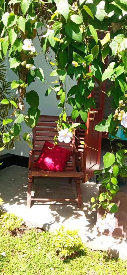 Mandara Rest Bed & Breakfast Hikkaduwa Luaran gambar