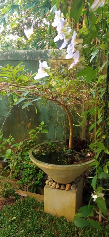 Mandara Rest Bed & Breakfast Hikkaduwa Luaran gambar