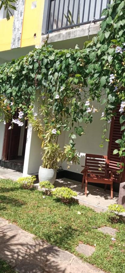 Mandara Rest Bed & Breakfast Hikkaduwa Luaran gambar