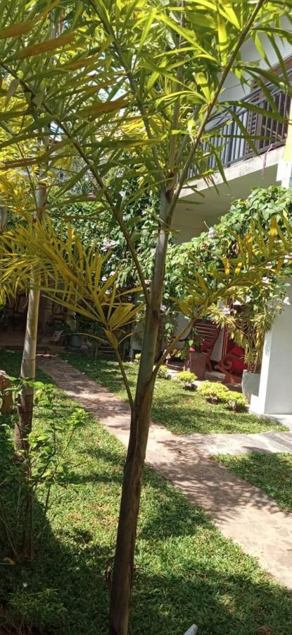 Mandara Rest Bed & Breakfast Hikkaduwa Luaran gambar