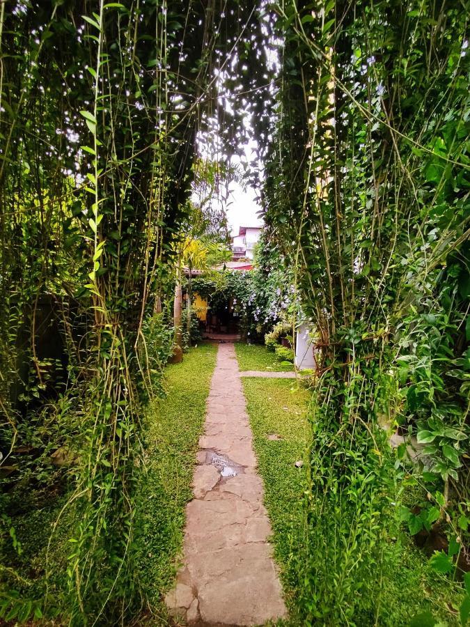 Mandara Rest Bed & Breakfast Hikkaduwa Luaran gambar