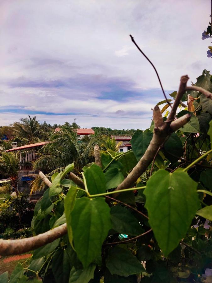 Mandara Rest Bed & Breakfast Hikkaduwa Luaran gambar