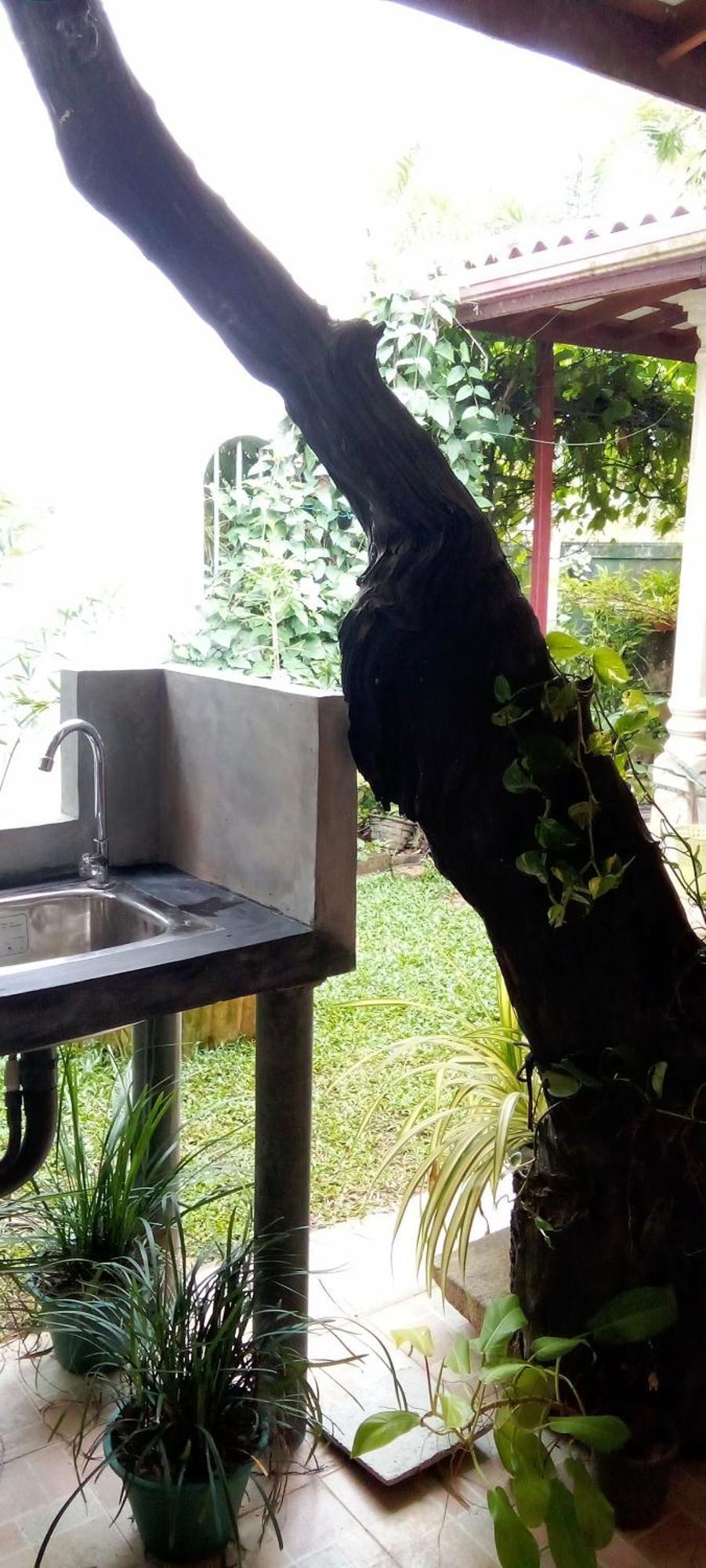 Mandara Rest Bed & Breakfast Hikkaduwa Bilik gambar